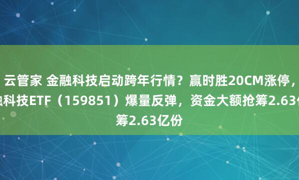 云管家 金融科技启动跨年行情？赢时胜20CM涨停，金融科技ETF（159851）爆量反弹，资金大额抢筹2.63亿份
