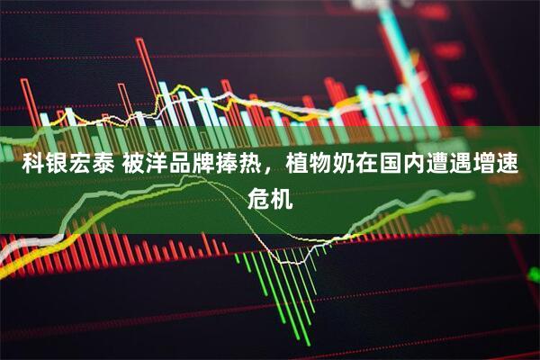 科银宏泰 被洋品牌捧热，植物奶在国内遭遇增速危机